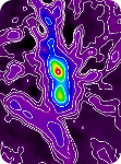 OMC-1 unpolarized light