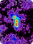 OMC-1 polarized light