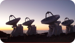 A few SMA antennas